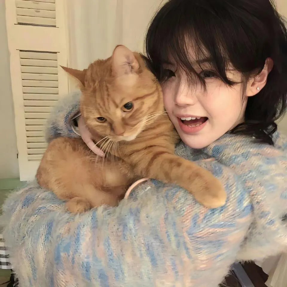 独角猫!第三季